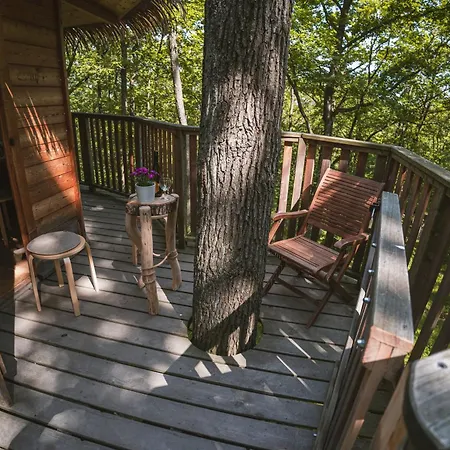 Kamp alanı Tree House U Mravence Jinacovice