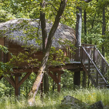 Kamp alanı Tree House U Mravence
