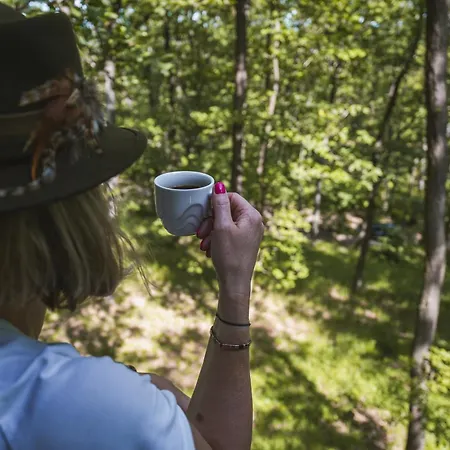 Tree House U Mravence Kamp alanı Jinacovice