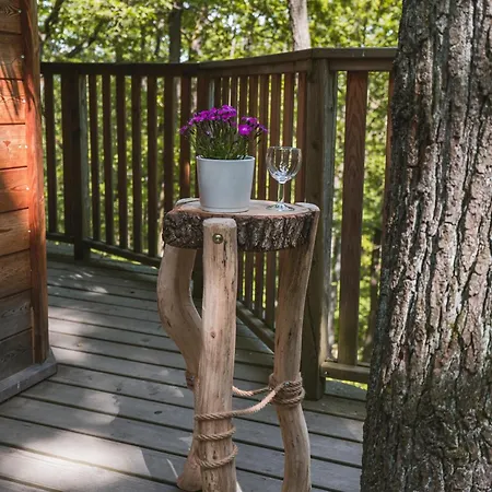 Tree House U Mravence Kamp alanı