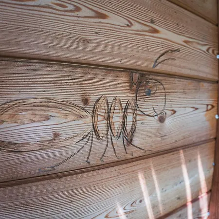 Kamp alanı Tree House U Mravence