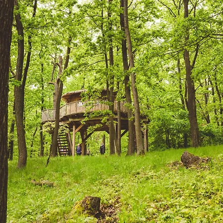 Kamp alanı Tree House U Mravence Jinacovice