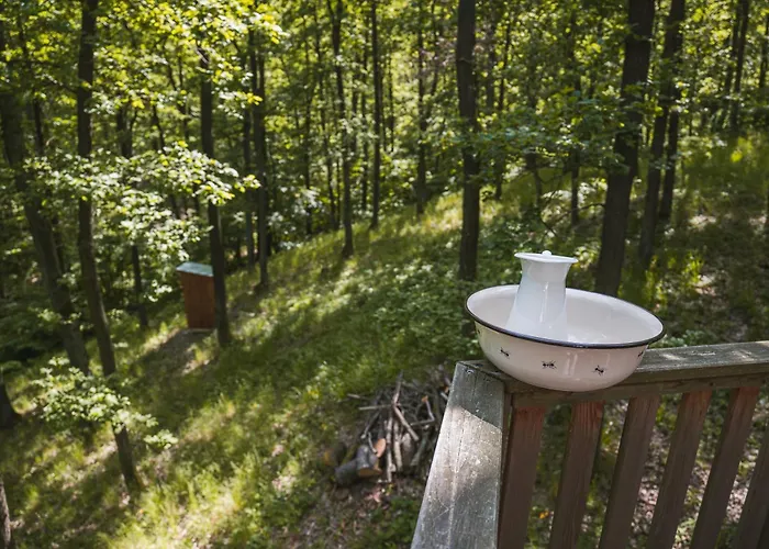 Tree House U Mravence