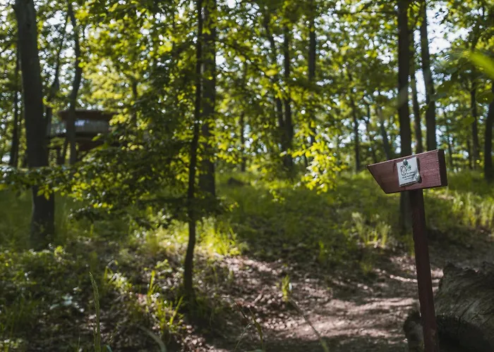 Tree House U Mravence Кемпинг *
