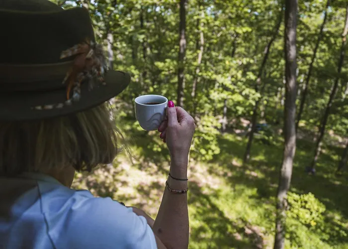 Tree House U Mravence Кемпинг Jinacovice