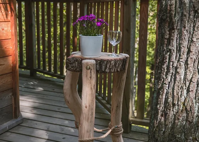 Tree House U Mravence Кемпинг
