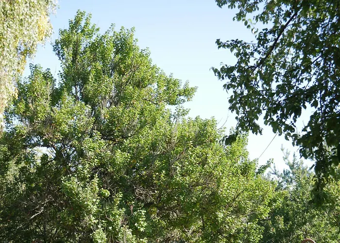 Tree House U Mravence Кемпинг Jinacovice