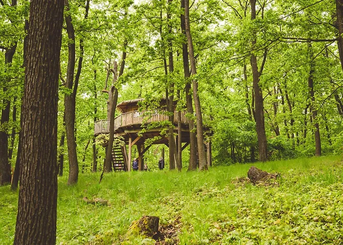 Кемпинг Tree House U Mravence Jinacovice